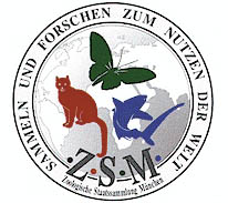 Zoologische Staatssammlung München
